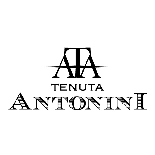 Antonini
